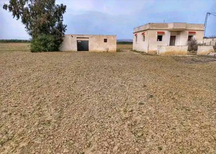 #InvestissementImmobilier - Real estate investment #AchatTerrain - Land #NouveauProjet - New project Zaghouan