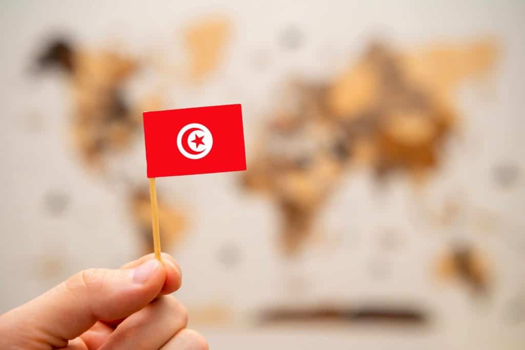 Tunisia's Real Estate Market and Tourism" - A depiction of the interplay between tourism and the real estate market in Tunisia, showcasing properties in popular tourist destinations.