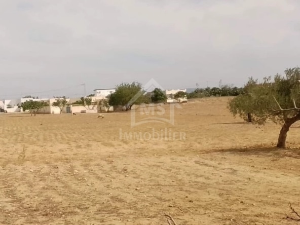 Land in Nabeul,Hammamet Sud