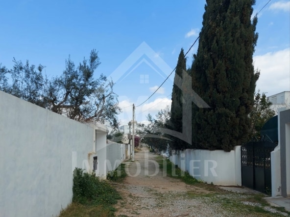 Land in Nabeul,Hammamet