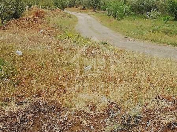 Land in Nabeul,Hammamet Sud