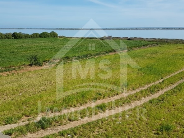 Land in ,