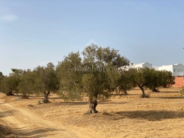 Land in Nabeul,Hammamet Sud