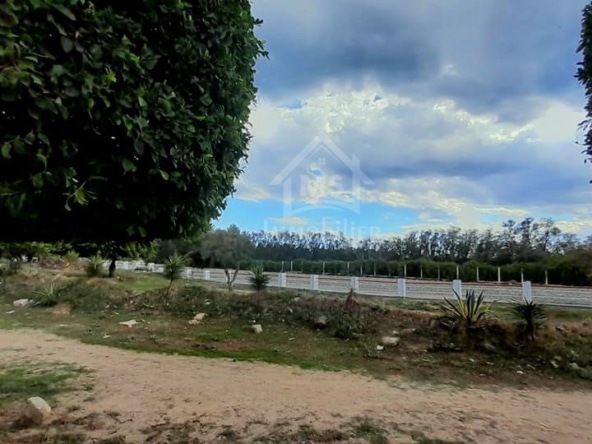 Land in Nabeul,Nabeul