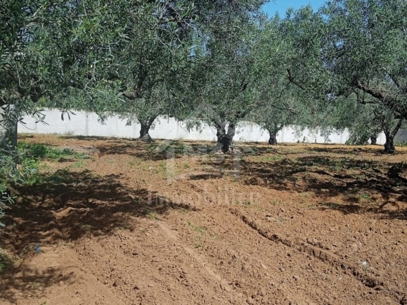 Land in Nabeul,Hammamet Sud