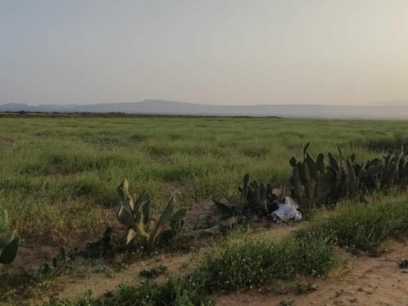 Land in Kairouan,Kairouan