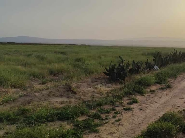 Land in Kairouan,Kairouan