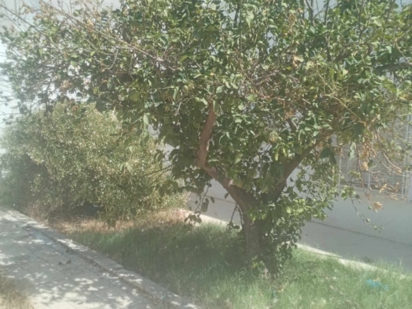 Villa in Kairouan,Kairouan sud