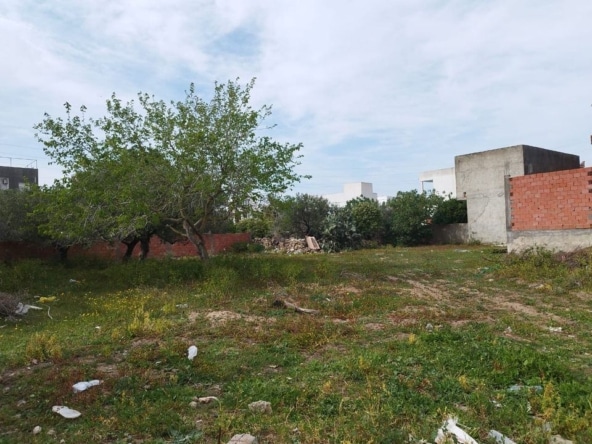 Land in Nabeul,Hammam el ghezaz