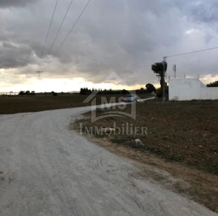 Land in Nabeul,Hammamet Sud