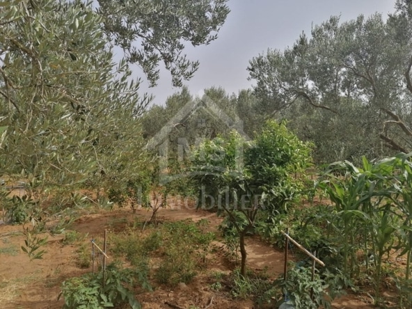Land in Nabeul,Hammamet Nord