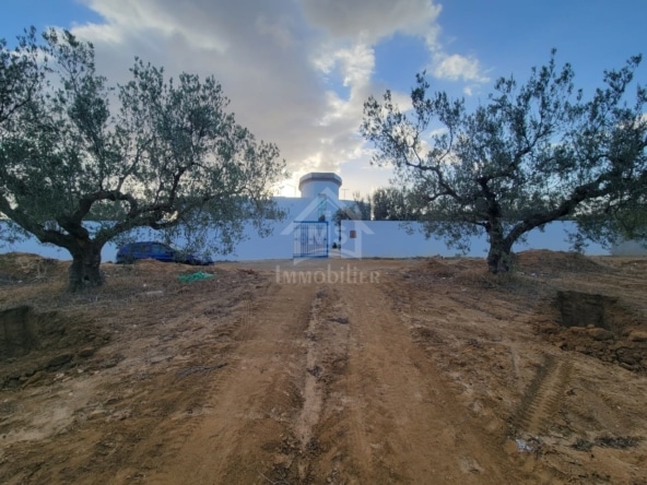 Land in Nabeul,Hammamet Sud