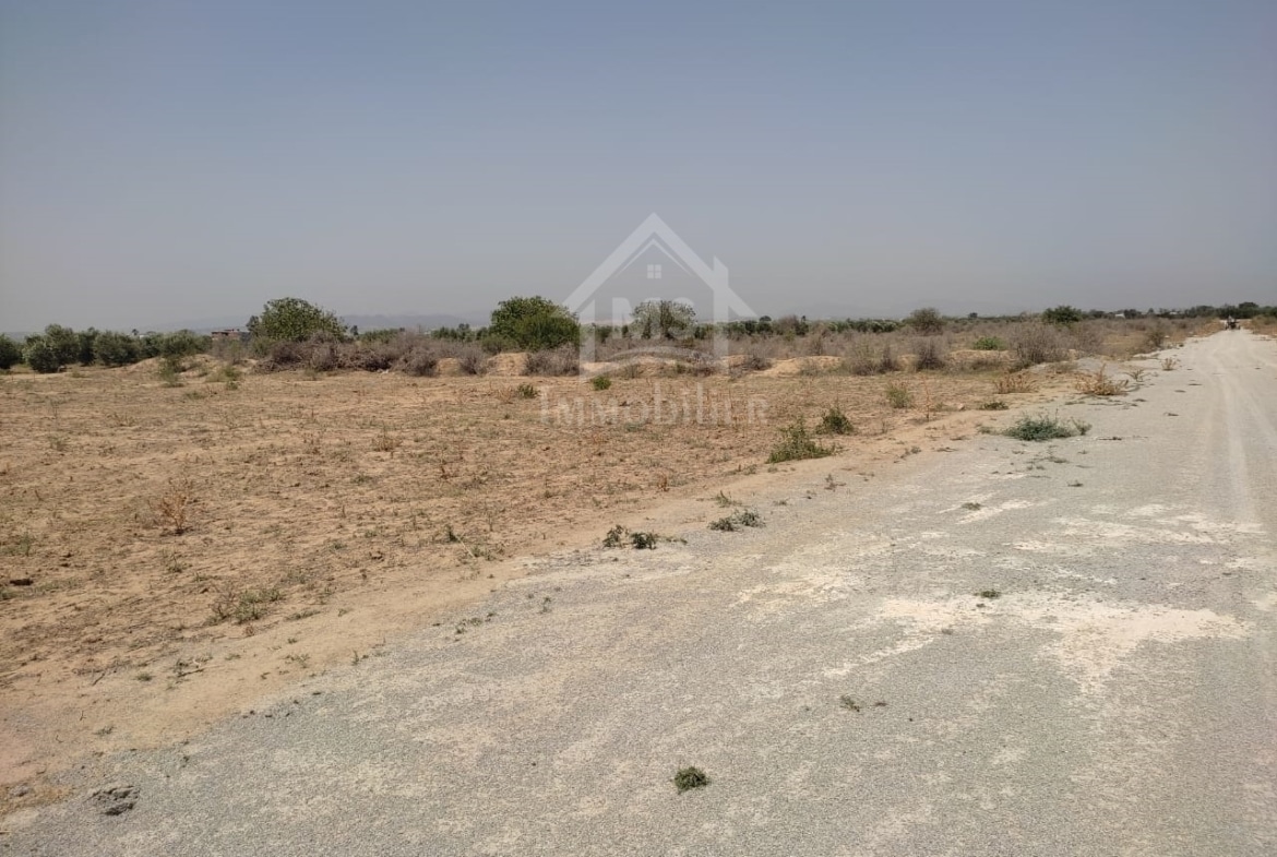 Land in Sousse,Bou ficha