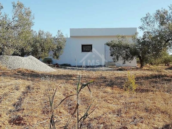 Land in Nabeul,Hammamet