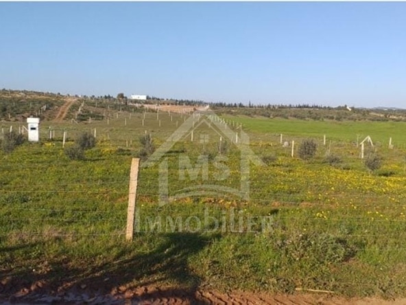 Land in Nabeul,Hammamet Sud