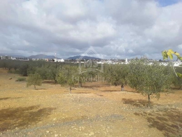 Land in ,Nabeul