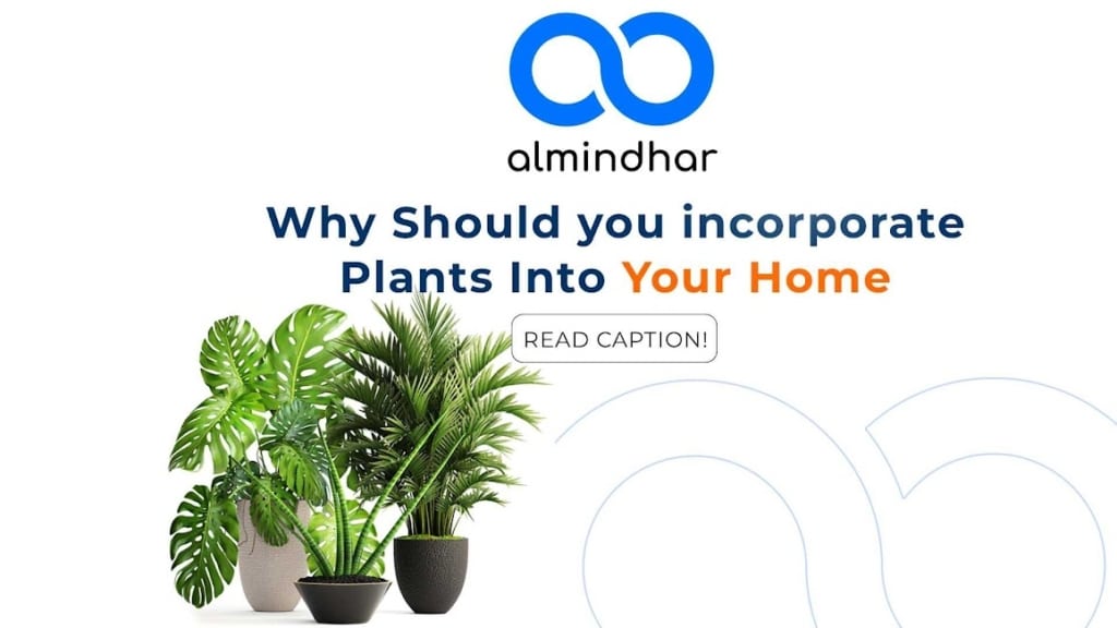 Why to plant in your home