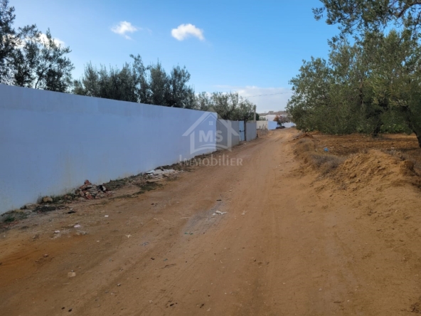Land in Nabeul,Hammamet Sud
