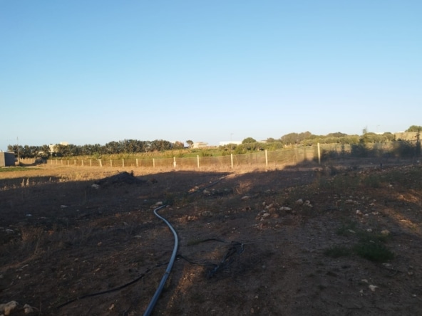 Land in Nabeul,Kelibia