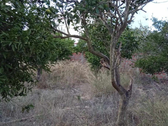 Land in Bizerte,Bizerte