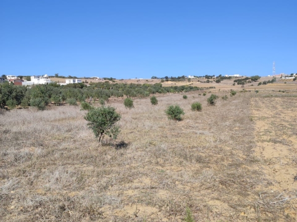 Land in Nabeul,hammem el ghzez
