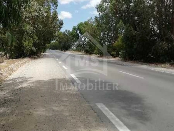 Land in Nabeul,Hammamet Sud