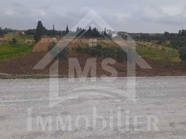 Land in Nabeul,Hammamet Sud