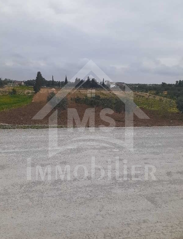 Land in Nabeul,Hammamet Sud