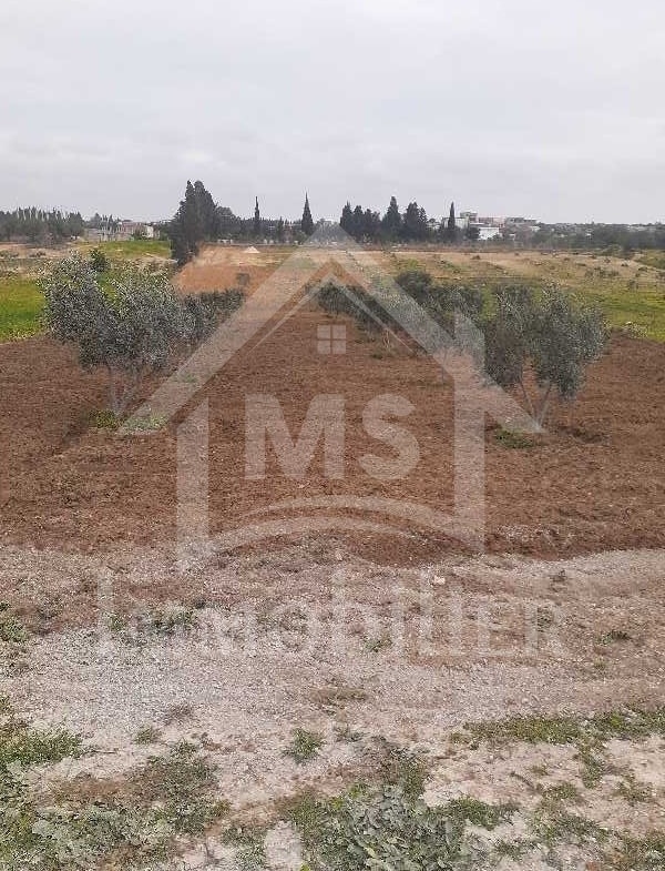 Land in Nabeul,Hammamet Sud