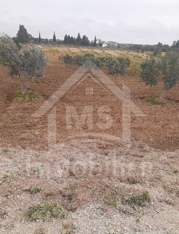 Land in Nabeul,Hammamet Sud