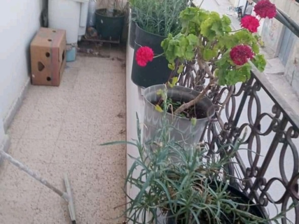 Villa in Ariana,Tunis,La soukra