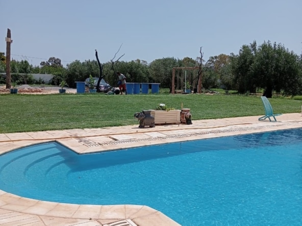 Commercial in ,