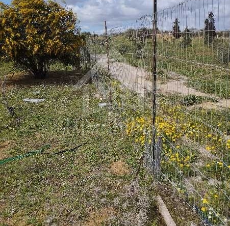 Land in Nabeul,