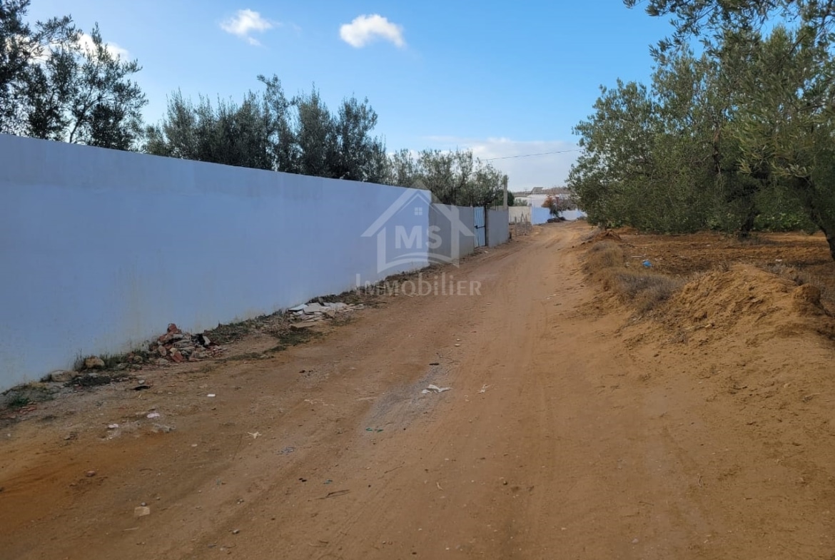 Land in Nabeul,