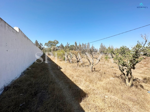 Land in Nabeul,