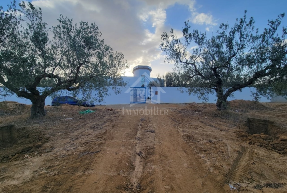 Land in Nabeul,