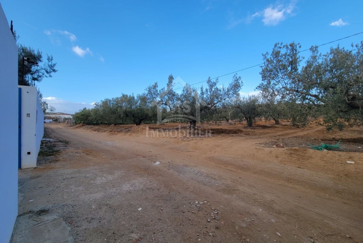 Land in Nabeul,
