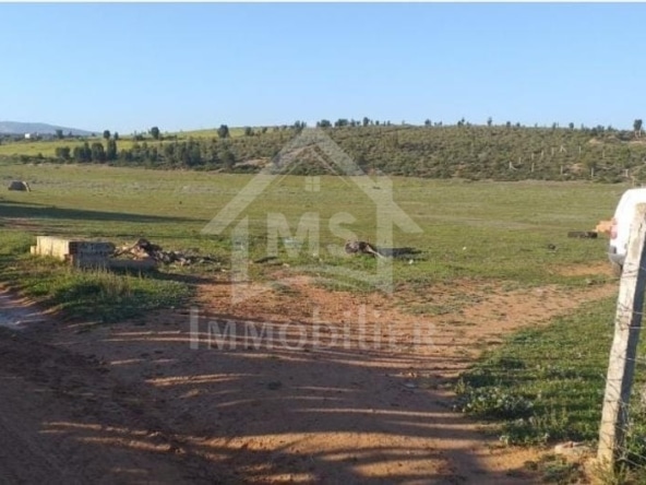 Land in Nabeul,Nabeul