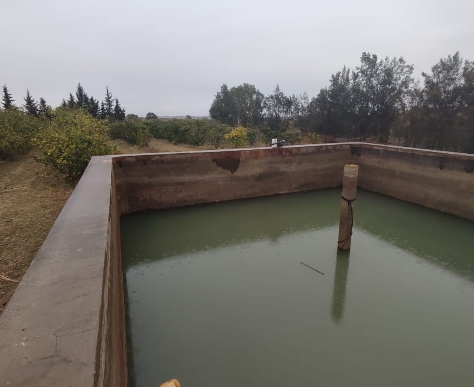 Farm in Nabeul,Korba