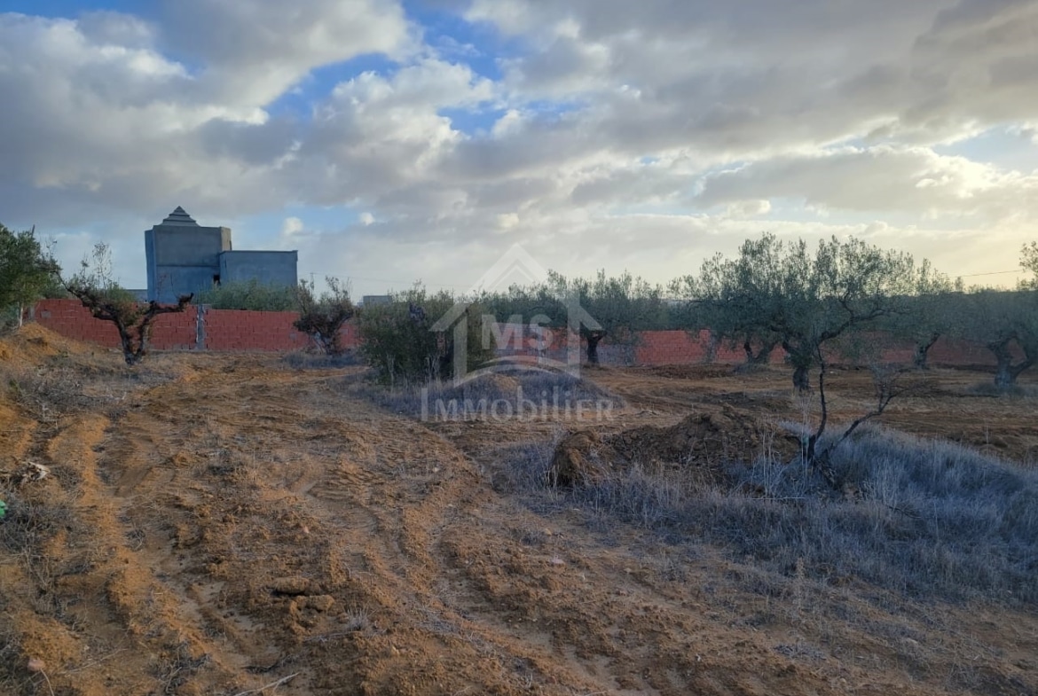 Land in Nabeul,