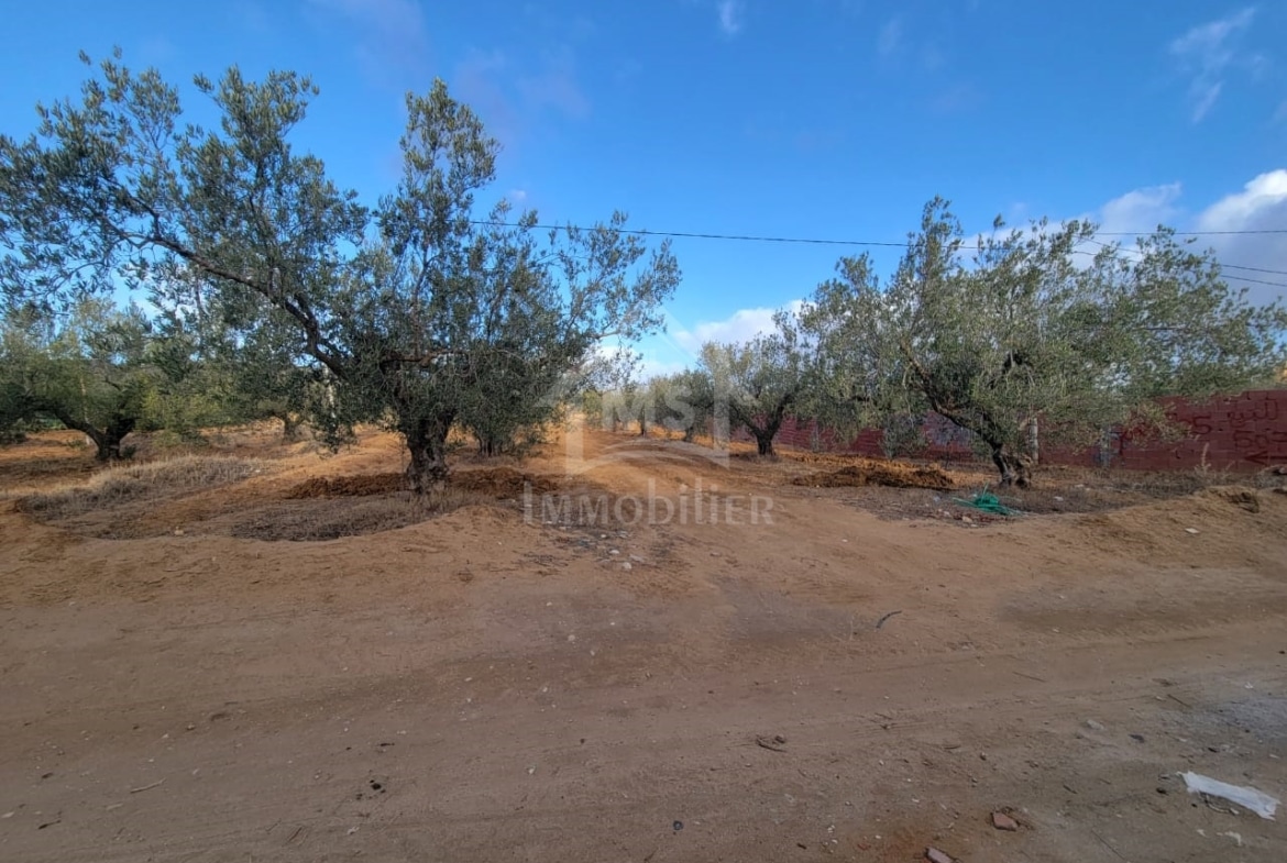 Land in Nabeul,