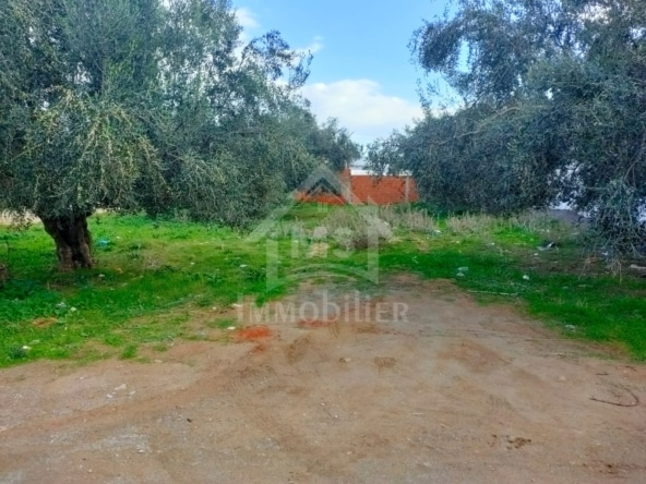 Land in Nabeul,