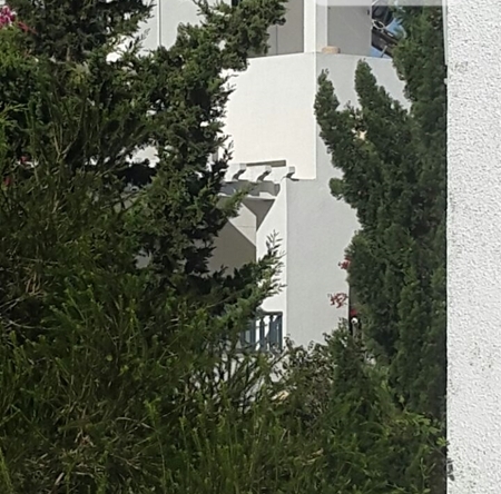 Duplex in Tunis,La marsa