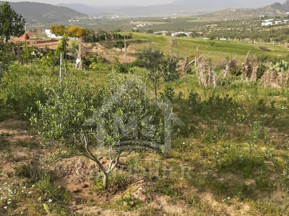 Land in Nabeul,