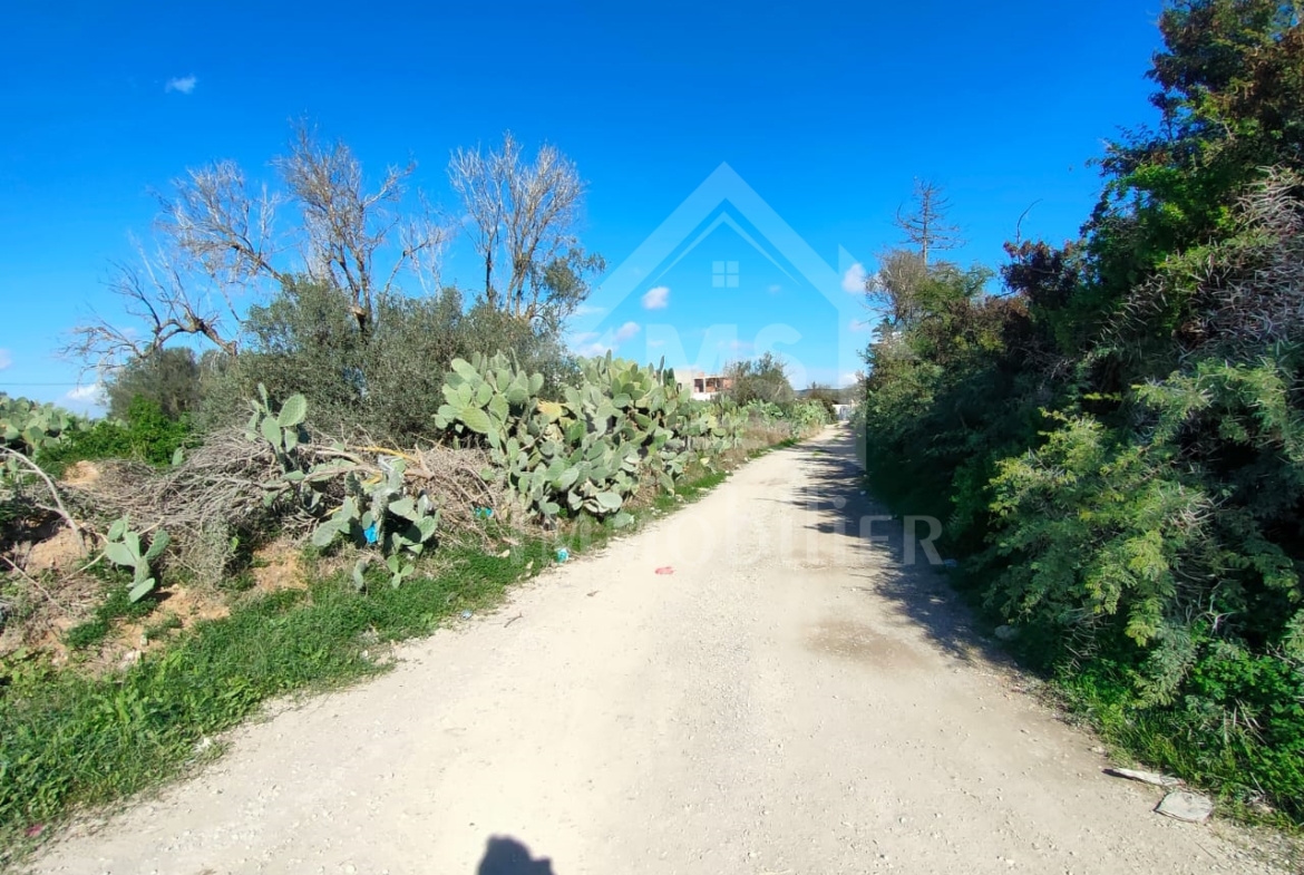Land in Nabeul,