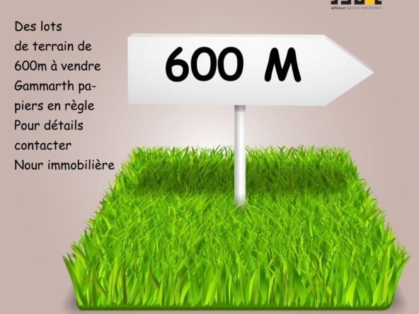 Land in Tunis,