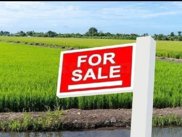 Land in ,
