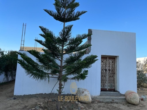 Villa in Nabeul,Mrezga