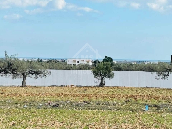 Land in Nabeul,Hammamet Sud