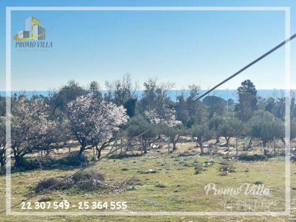 Villa in Nabeul,Hammamet Nord